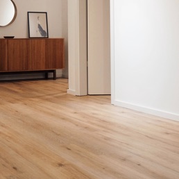 Digital Reach|Elementor #80